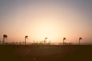 resized_30_fallback